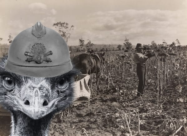 🔫🐦Great Australian Bites: The Emu War of 1932